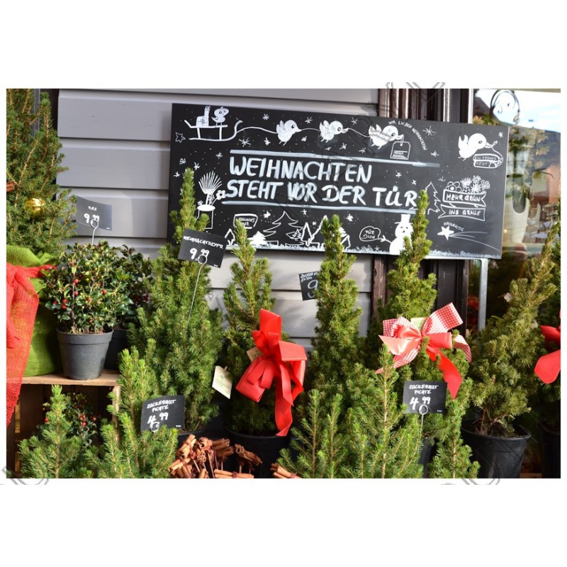 Weihnachten steht vor der Tür