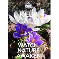 KEEP CALM and WATCH NATURE...
