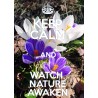 KEEP CALM and WATCH NATURE AWAKEN