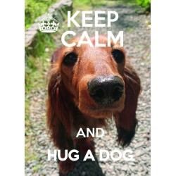 KEEP CALM and HUG A DOG