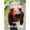 KEEP CALM and HUG A DOG