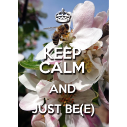 KEEP CALM and JUST BE(E)