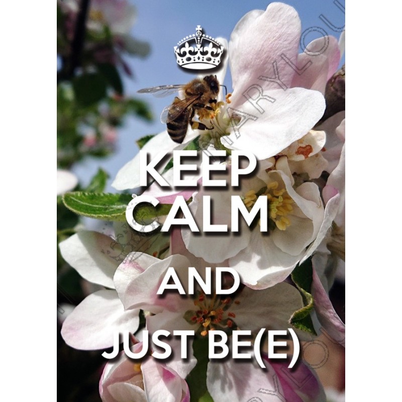 KEEP CALM and JUST BE(E)