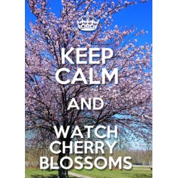 KEEP CALM and WATCH CHERRY...