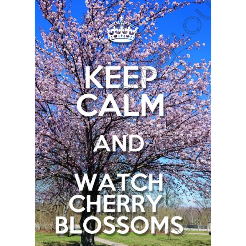 KEEP CALM and WATCH CHERRY BLOSSOMS