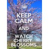 KEEP CALM and WATCH CHERRY BLOSSOMS