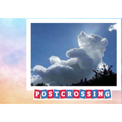 postcrossing Wolkenbär
