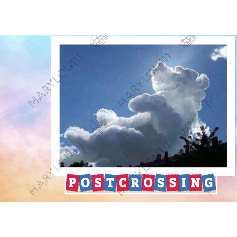 postcrossing Wolkenbär