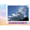 postcrossing Wolkenbär