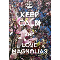 KEEP CALM and LOVE MAGNOLIA