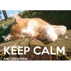 KEEP CALM and DREAM ON