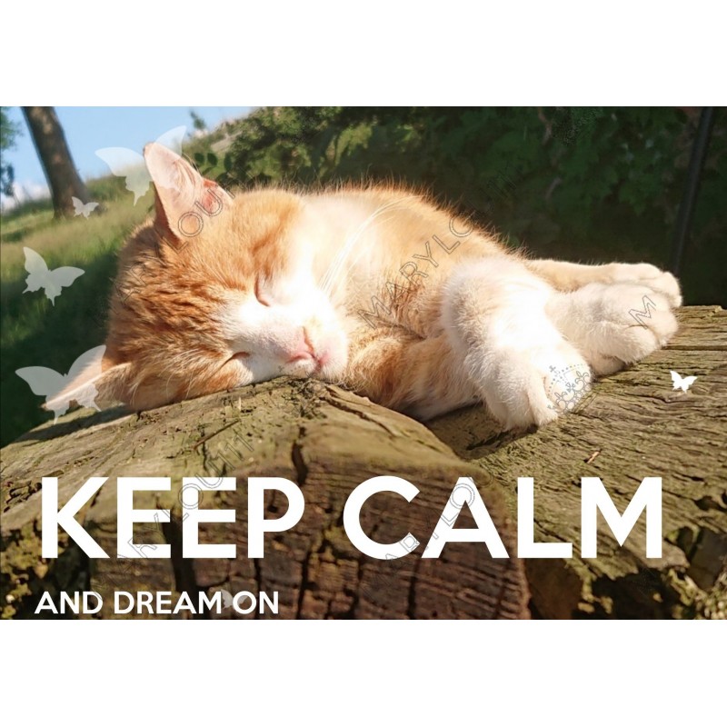 KEEP CALM and DREAM ON