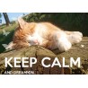 KEEP CALM and DREAM ON