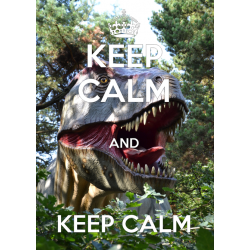 Keep Calm and ...