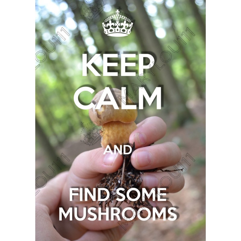KEEP CALM and FIND SOME MUSHROOMS