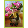 funny frogs