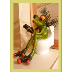 funny frogs